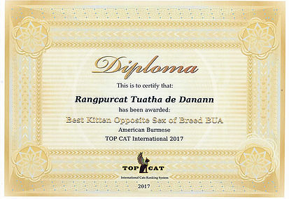 Rangpurcat best-of-breed-certificate