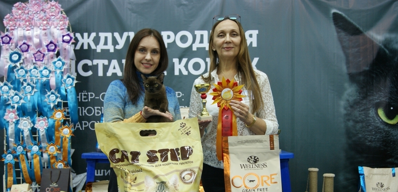 Rangpurat Выставка «Уши, лапы, хвост» Best kitten Rangpurat Lucas