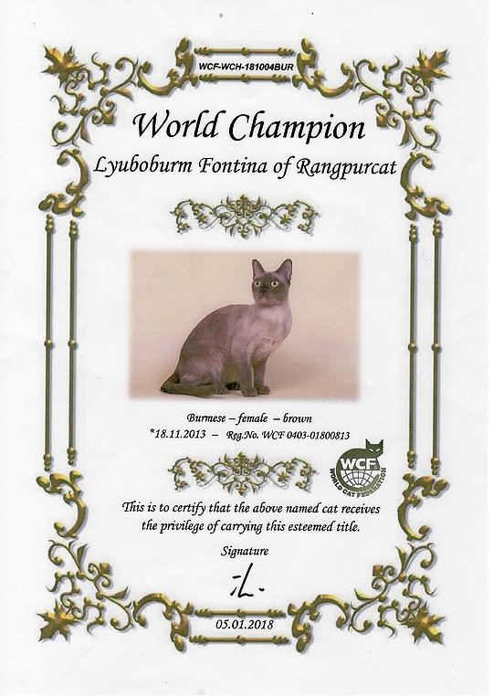 Rangpurcat Fontina - Чемпион мира World champion (W. Ch) WCF